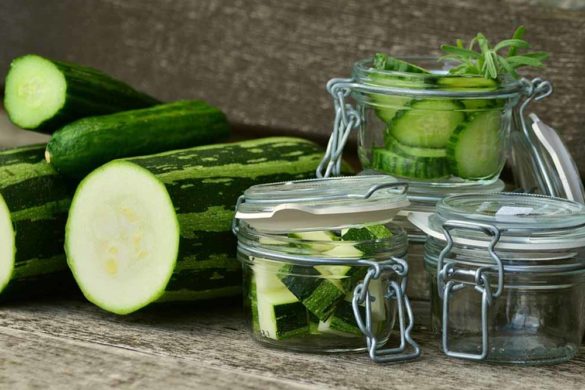 coltivazioni zucchine