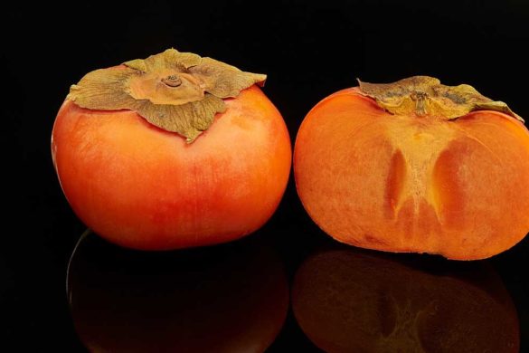 cacomela