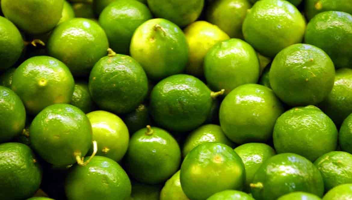 mapo frutta - agrume