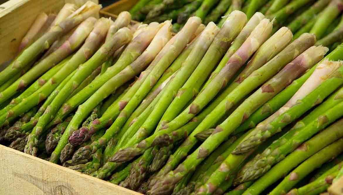 asparago, asparagi