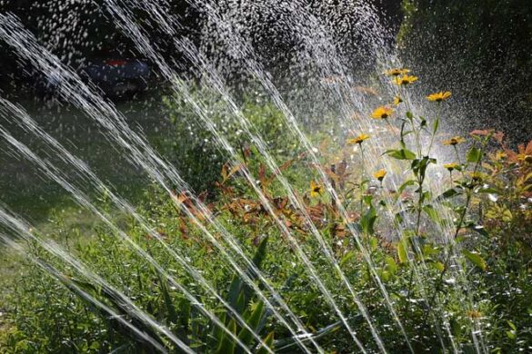 Sistemi di irrigazione per il tuo giardino