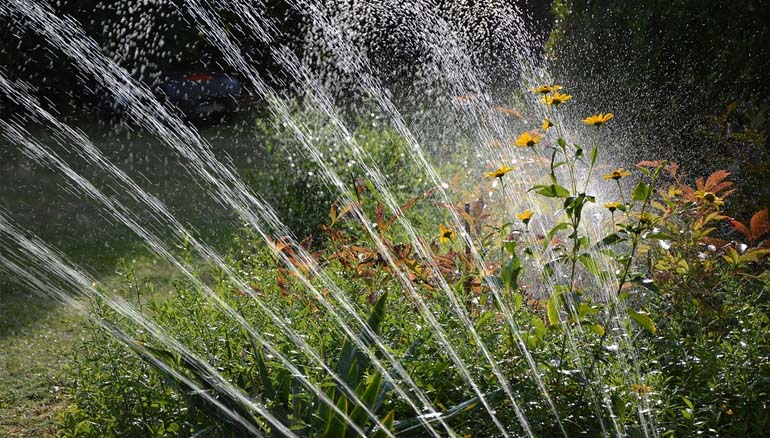 Sistemi di irrigazione per il tuo giardino